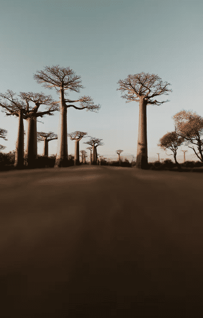 Madagascar tourist attraction