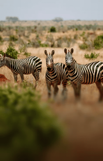 Tanzania tourist attraction